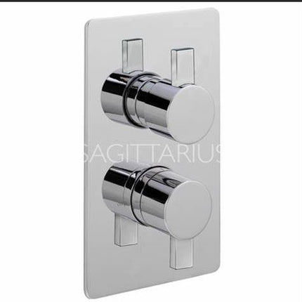 SAGITTARIUS EVOLUTION CONCEALED 2 OUTLET SHOWER VALVE Concealed Shower Bathrooms at Unit 5 