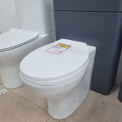 Essentials Back To Wall Toilet & Seat Toilet Island Bathrooms 